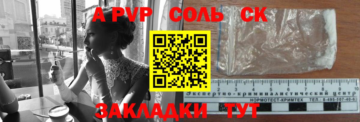 A PVP СК КРИС Новоалександровск